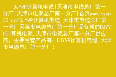 djyvp计算机电缆