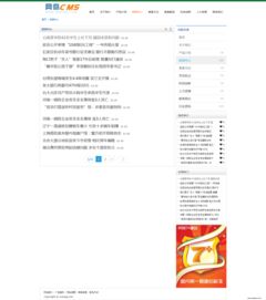 网奇cms免费模板v82