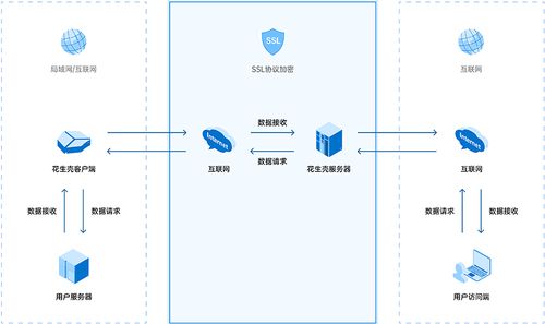 想在公司玩家中4090 来学内网穿透