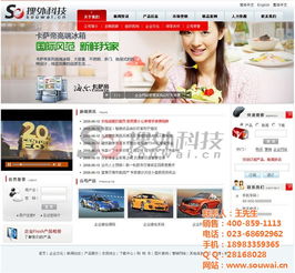 cms 企业建站 搜外科技 在线咨询 云阳企业建站
