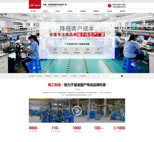 端子线营销型网站案例 广东连接线网站案例