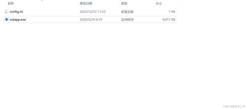 在公司内网开发的时候如何和互联网第三方平台环境联调之内网穿透