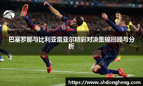bsports登录入口