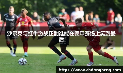 bsports官网入口