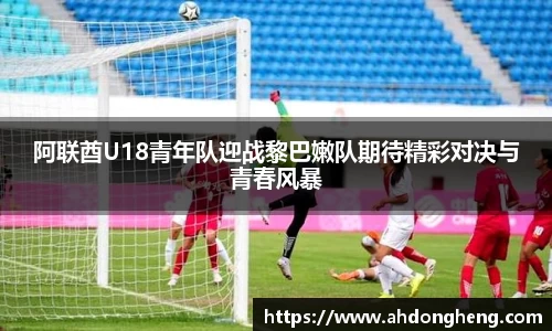 bsports登录入口