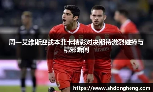 bsports登录入口