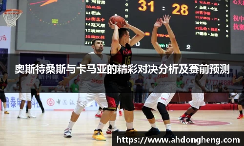 bsports登录入口