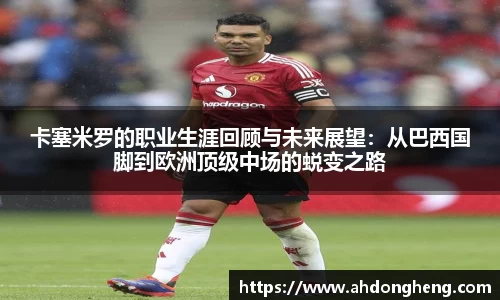 Bsports网页版