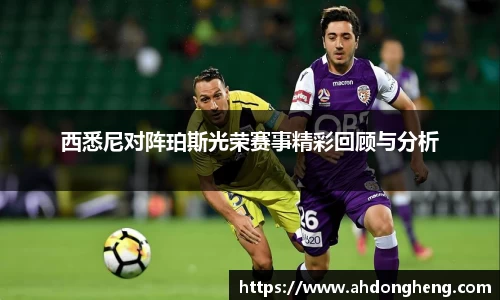 bsports登录入口