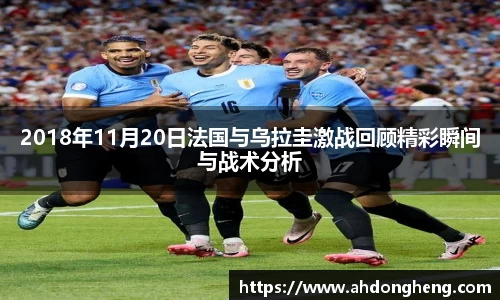 bsports官网入口