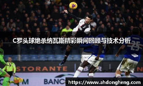 bsports官网入口