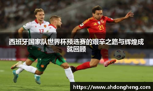 bsports登录入口