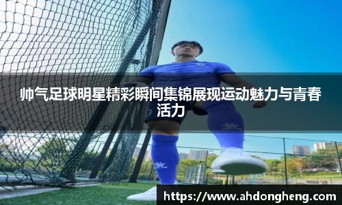 bsports官网入口